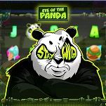 Eye of the Panda